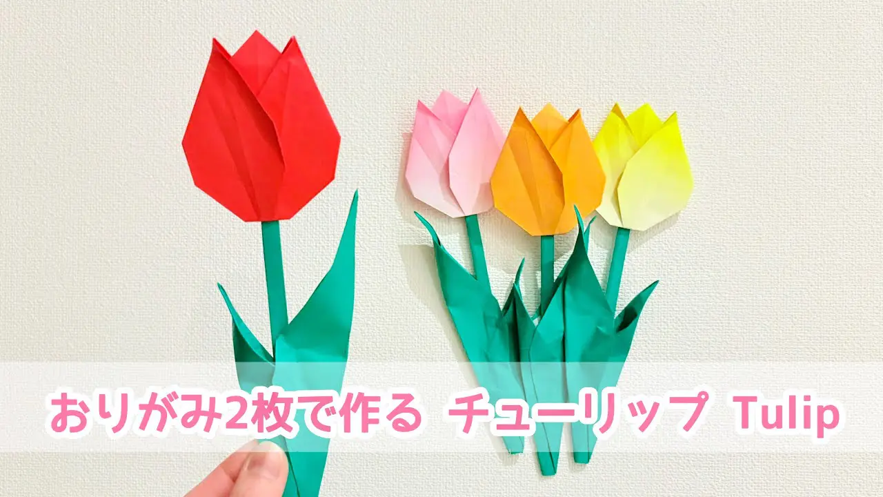 折り紙2枚でできる】おしゃれで可愛い チューリップの折り方 ◇Origami